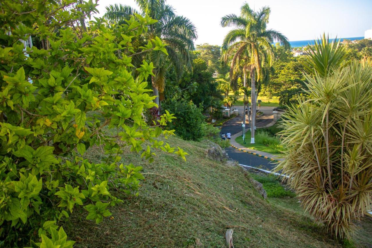 E 20 Mystic Ridge Ocho Rios Apartman Kültér fotó